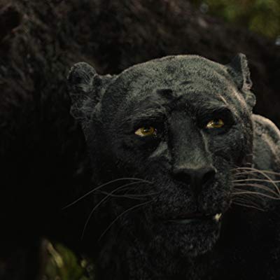 Baloo