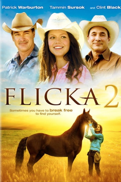 Flicka 2