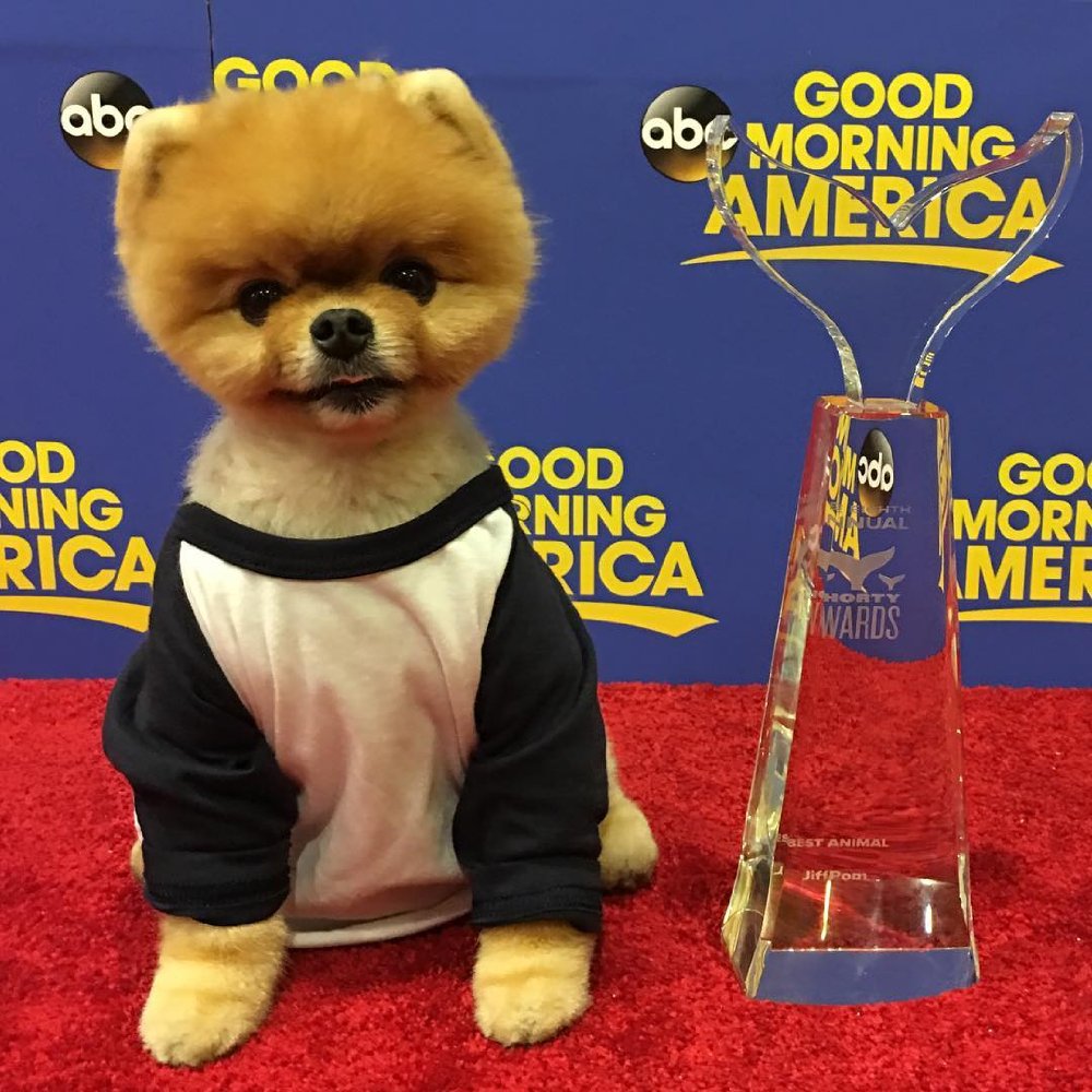 Jiffpom