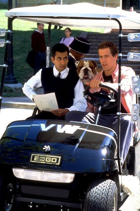 Van Wilder