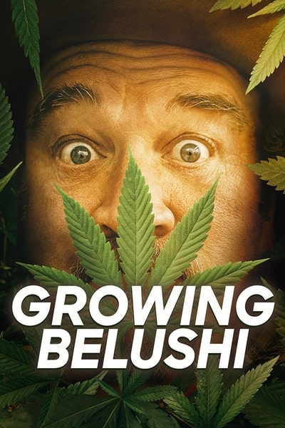Growing Belushi - Season 2