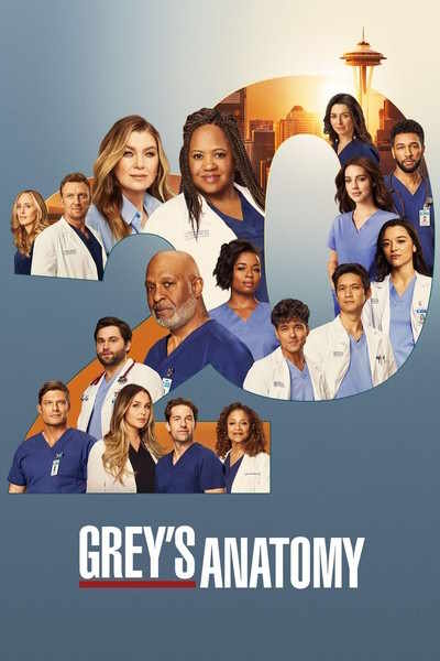 Greys Anatomy - Season 20
