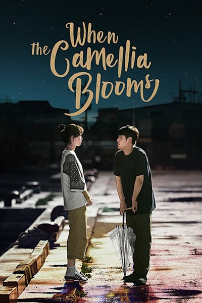 When the Camellia Blooms - Season 1